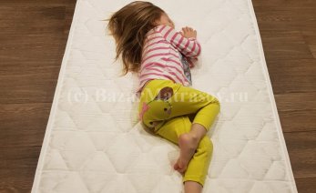 Фото DreamLine DreamRoll №2